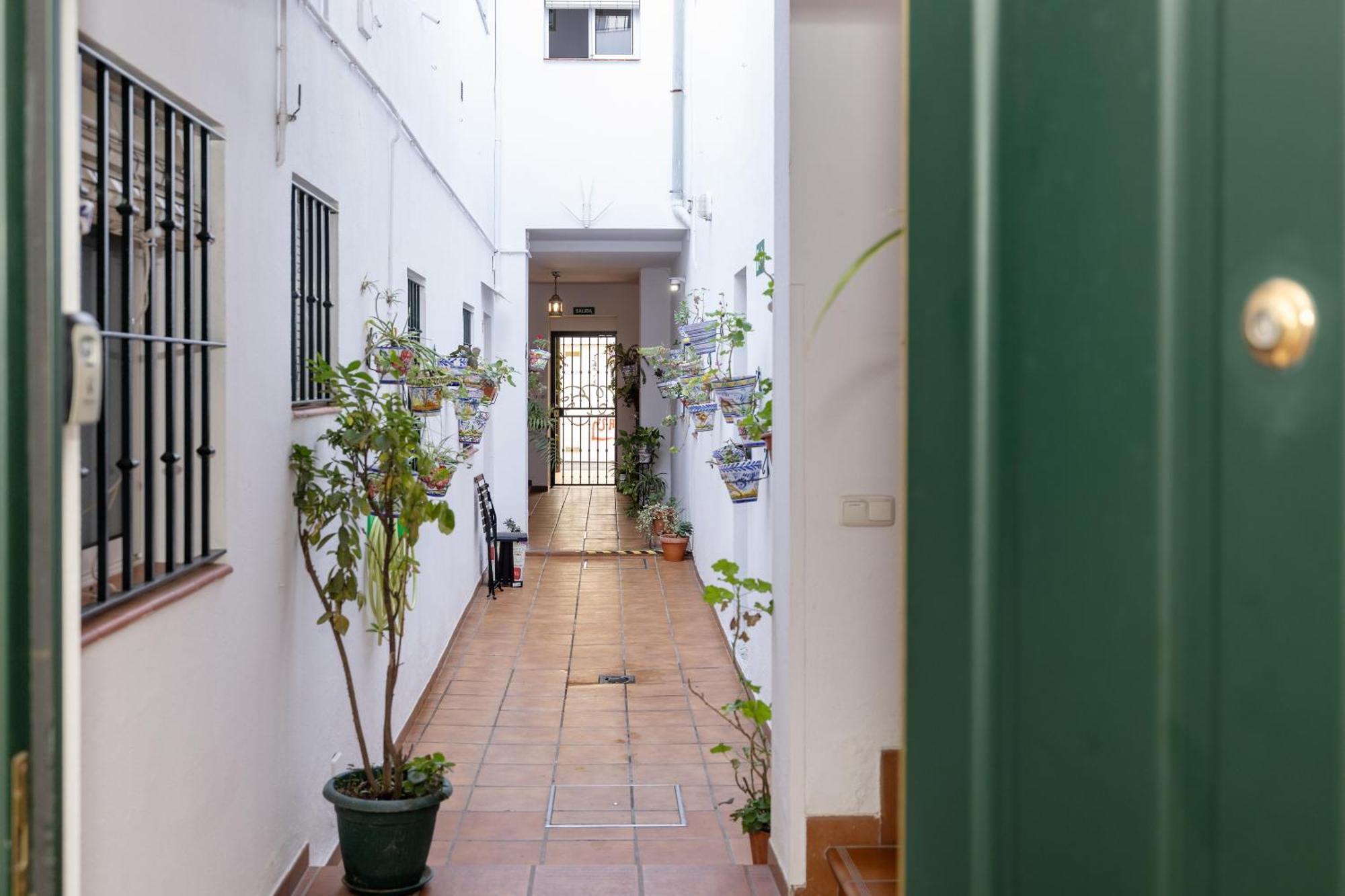 Apartamentos Trianasol Sevilla Dış mekan fotoğraf