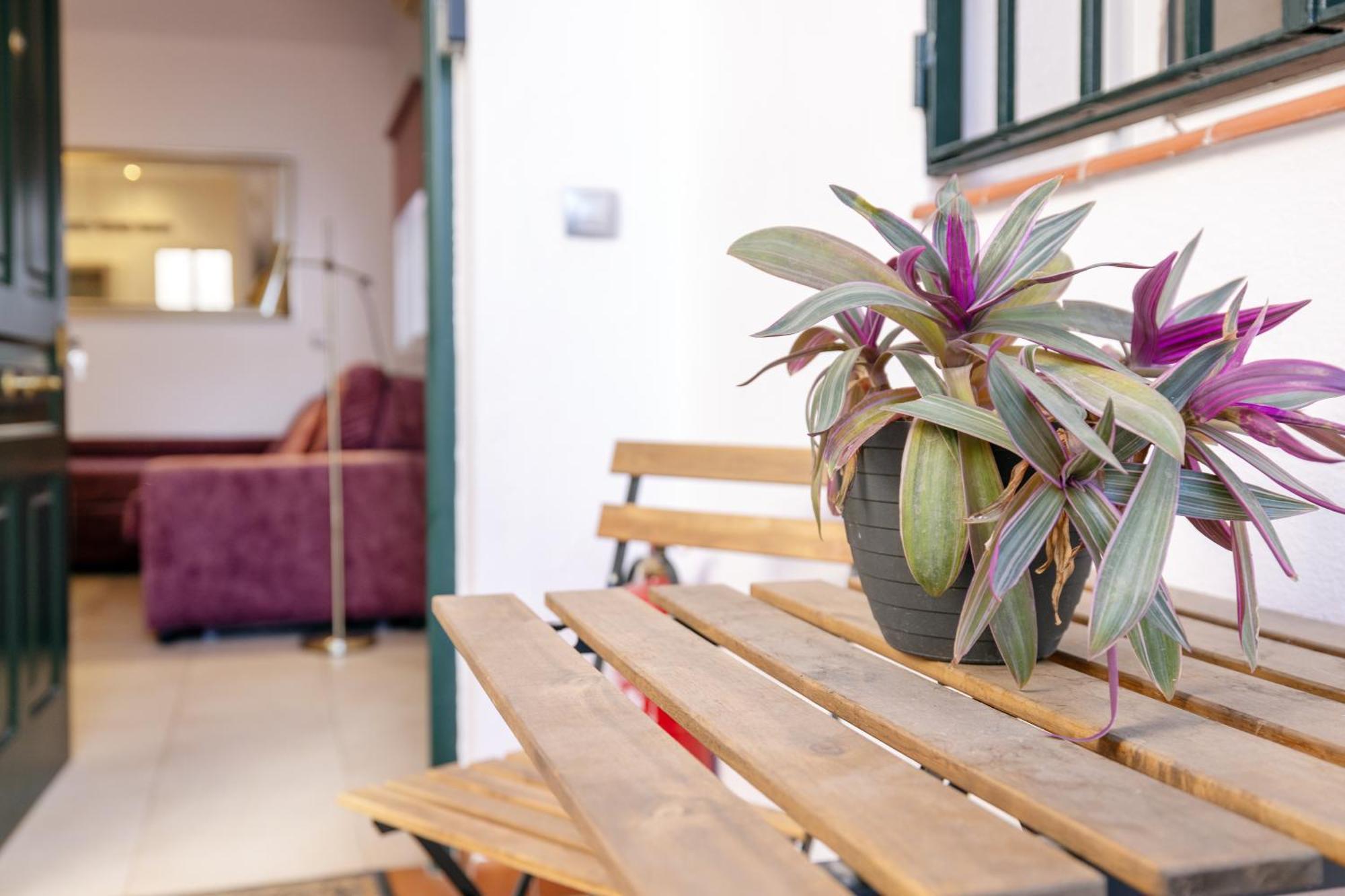 Apartamentos Trianasol Sevilla Dış mekan fotoğraf